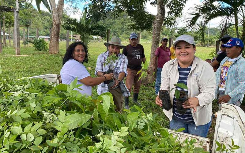 Restauración de cobertura forestal en cuenca del río Concomá