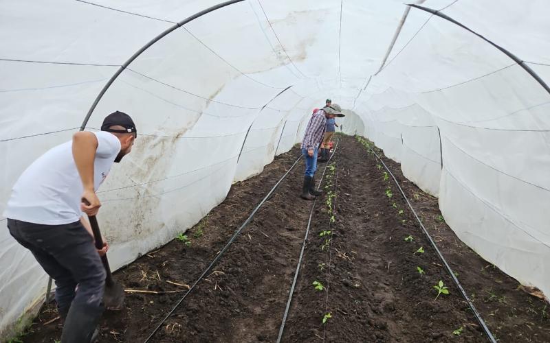 Supervisan cultivos en la Escuela de Agricultura