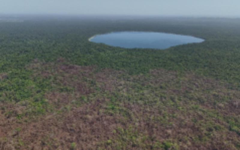 incendios forestales