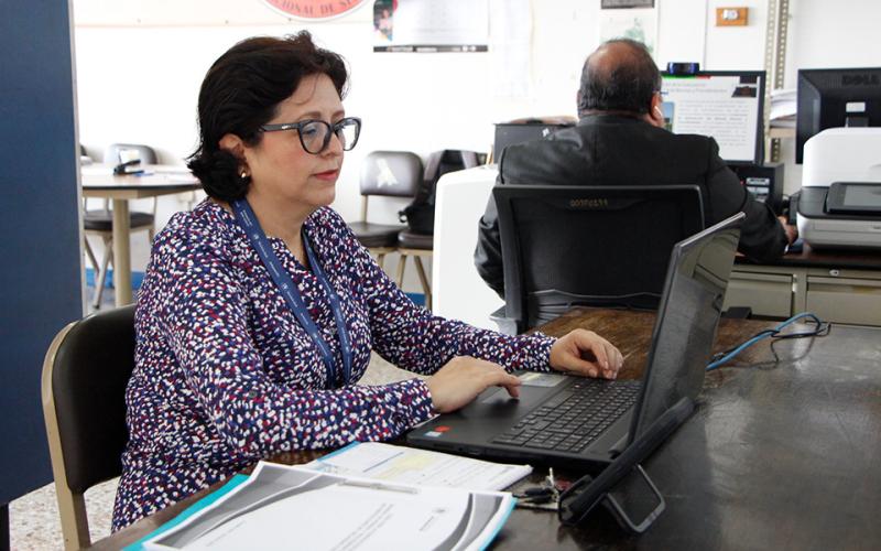 La capacitación virtual se desarrolló durante tres días.