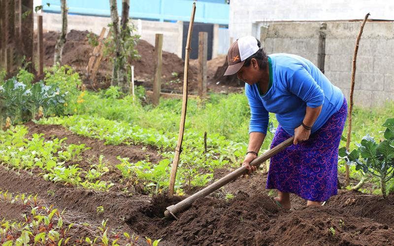¿Conozca qué es la agricultura de infra y la de subsistencia?