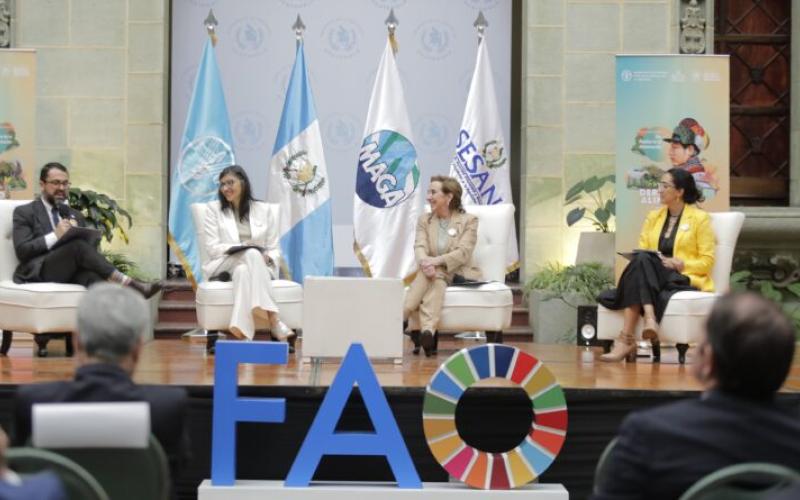 FAO, SESAN y MAGA conversan sobre el derecho a una alimentación saludable y sostenible