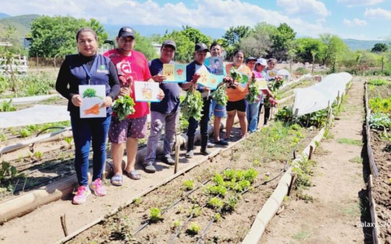 Del huerto a la mesa: SESAN y MSPAS promueven taller de recetas nutritivas con alimentos cultivados en la comunidad