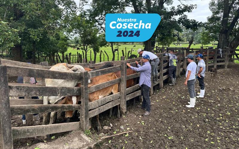 Inspeccionan más de 13 mil animales por acciones de control y prevención del GBG