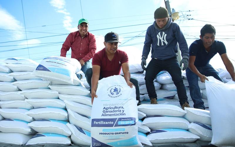 Bono Campesino apoya cultivo de hortalizas
