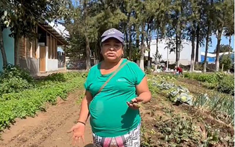 Bono Campesino impulsa la agricultura familiar en El Tejar, Chimaltenango