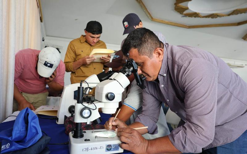 Capacitación para control de plaga del Trips en cultivo de frijol