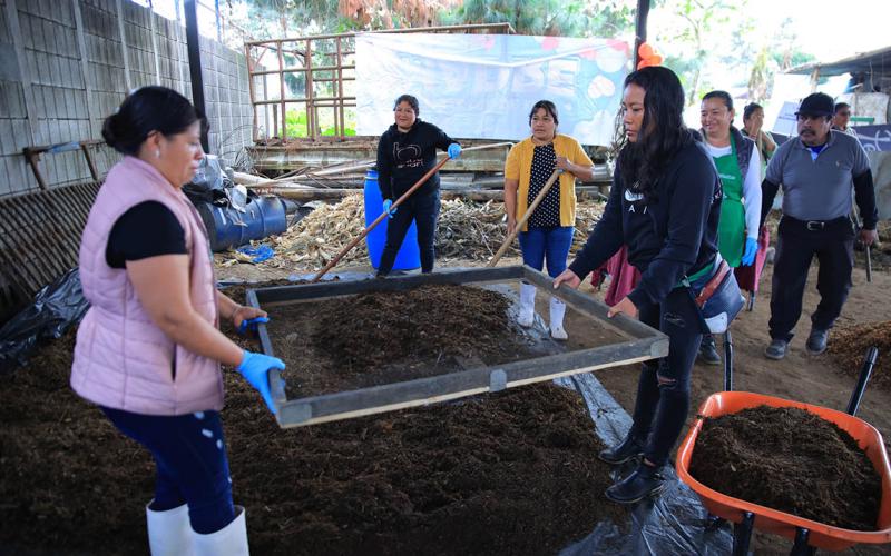 Conozca cuál es el abono Bokashi