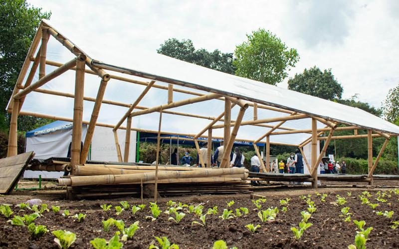 Conozca qué es la Casa Maya