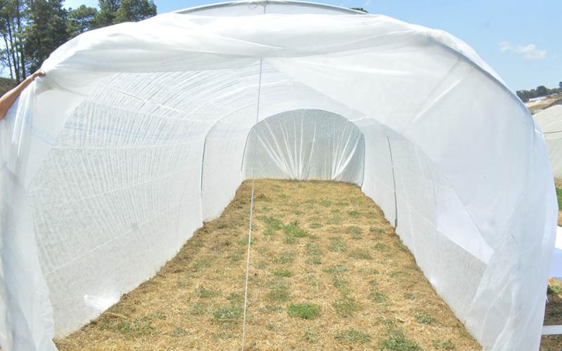 Conozca qué son los Microtúneles