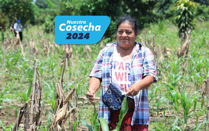 El Seguro Agropecuario respalda la producción de las y los agricultores