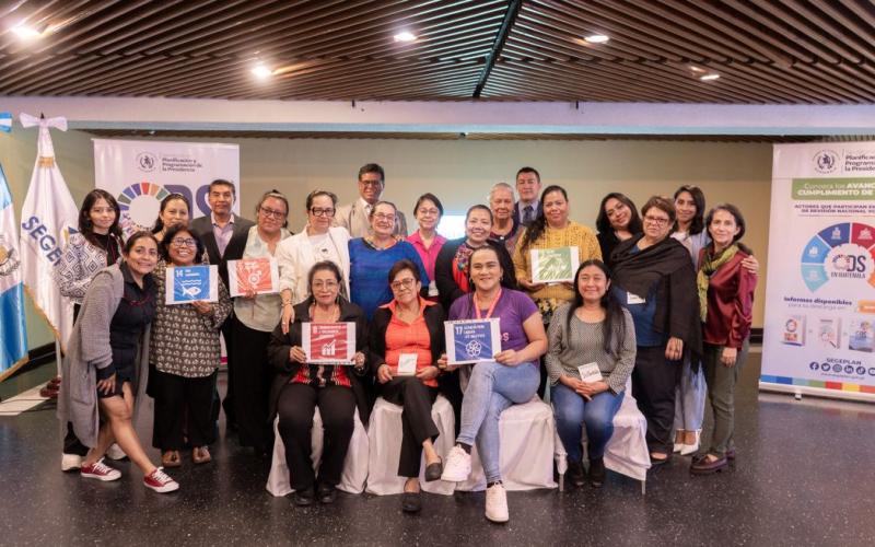 Participantes en consulta de SEGEPLAN sobre cumplimiento de ODS para elaboración de la RNV 2025. 