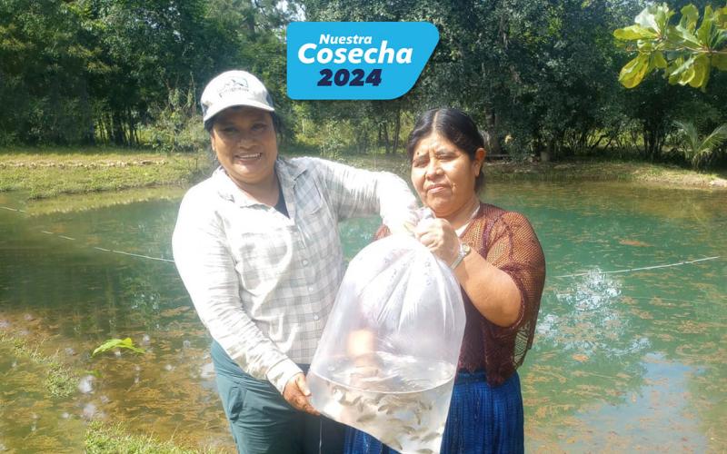 Incrementamos en 64% la producción de alevines