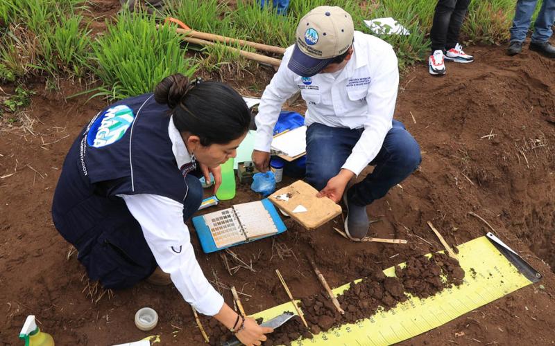 La importancia del estudio del suelo