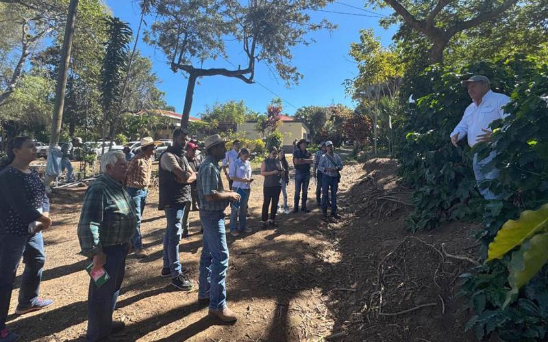 Pequeños cafetaleros capacitados en taller de calidad y postcosecha