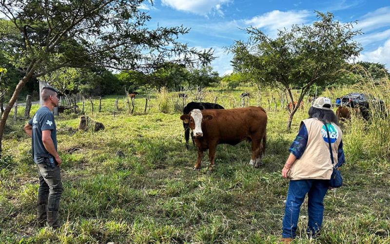 Peritajes zootécnicos son clave para la mejora genética y competitividad ganadera 