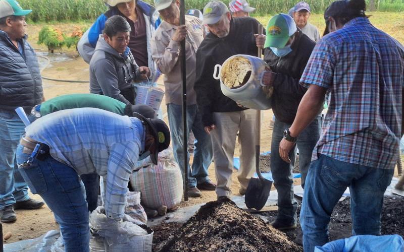 Productores concluyen diplomado de fortalecimiento de la cadena de cultivo de la papa