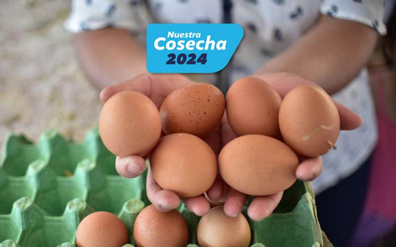 Se impulsa la inocuidad y calidad del huevo en toda la cadena productiva