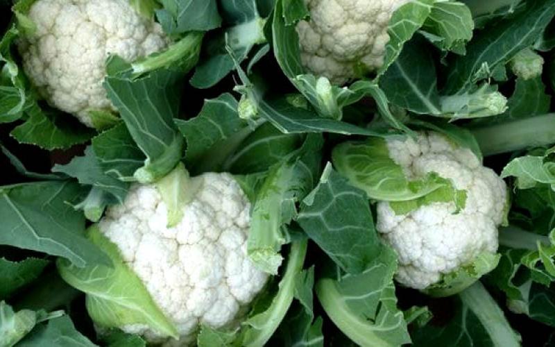 Una hortaliza con alto contenido de antioxidantes 