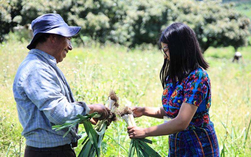 Una hortaliza para una dieta equilibrada