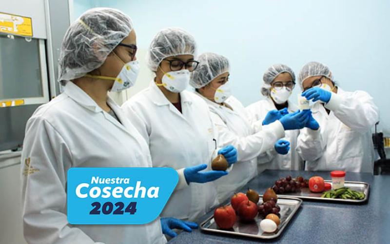 Este año se realizaron un 52% más de gestiones para asegurar la inocuidad de los alimentos que en 2023