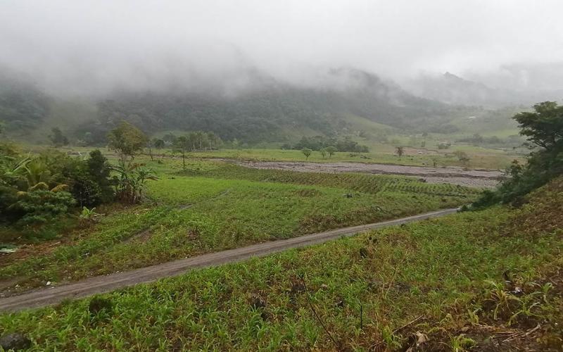 Análisis meteorológico para la semana del 28 al 31 de enero