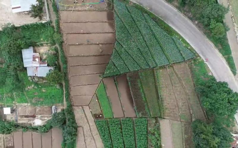 Aprenda qué es la información biográfica en la agricultura