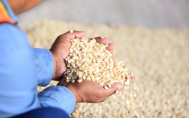 Beneficios del maíz