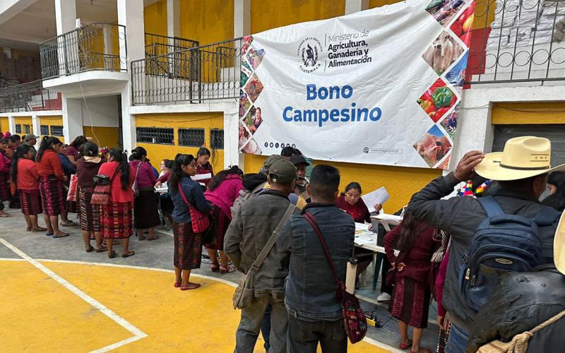 Bono Campesino fortalece agricultura familiar en respuesta a la iniciativa “Mano a Mano”