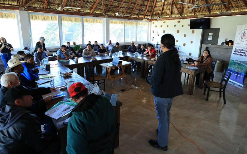 Brindan capacitación en temas de mercadeo a caficultores de El Progreso y Jalapa