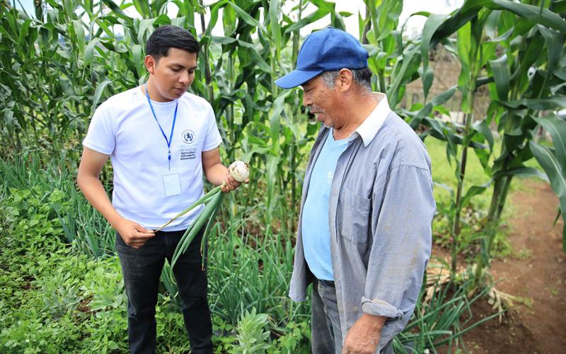 Convocatoria Abierta para el programa Jóvenes Apoyando El Extensionismo Rural: Campesino A Campesino