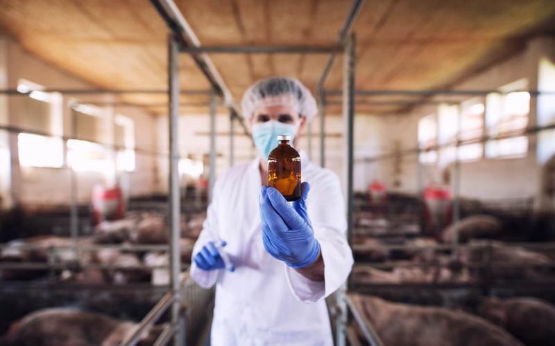 Conozca acerca de la fitozoogenética y la germoplasma