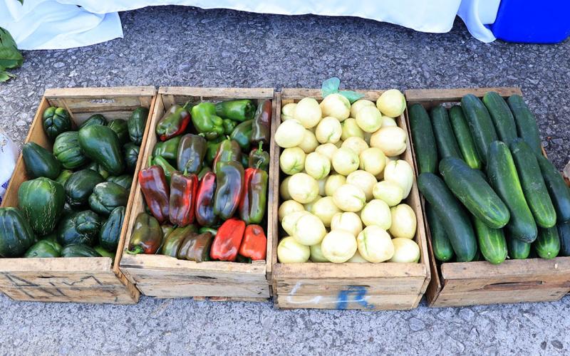Conozca cuáles son las hortalizas tropicalizadas