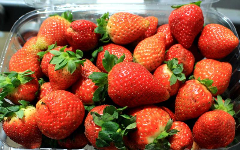 Conozca los alimentos para mejorar su salud