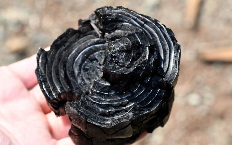 Conozca qué es el biochar