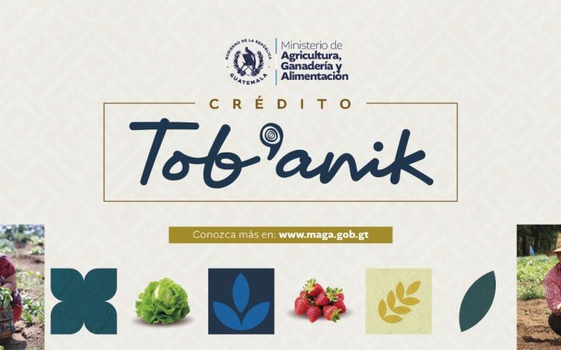 Crédito Tob’anik será un apoyo clave para las y los agricultores en 2025