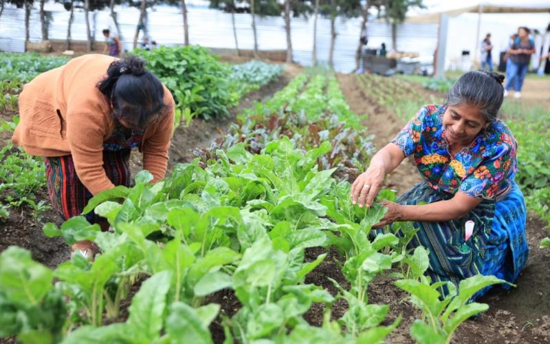 Así se gestiona el Crédito Tob’anik en el sistema financiero