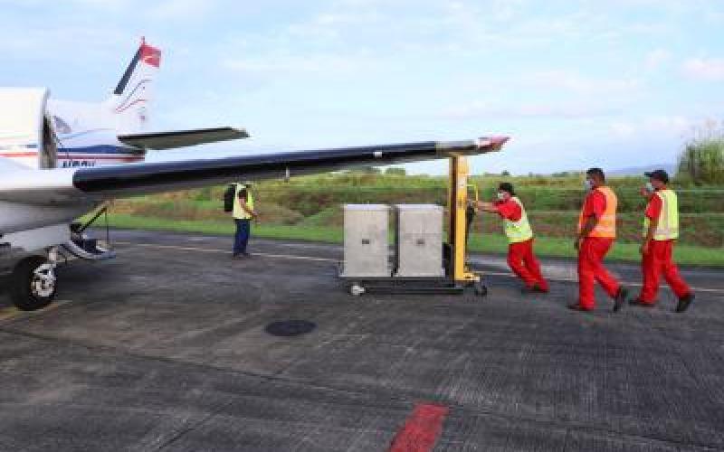 Dispersan 45.2 millones de moscas estériles del Gusano Barrenador del Ganado