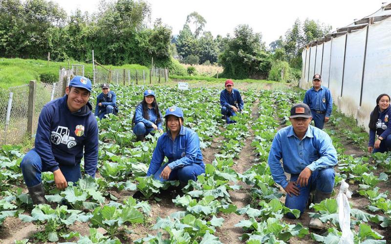 Educación agrícola a jóvenes rurales