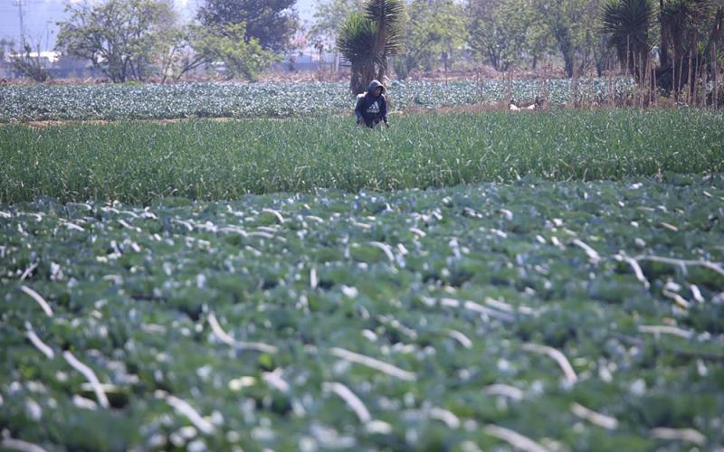 El equilibrio entre la producción agrícola y los ecosistemas
