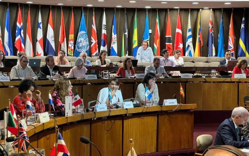 Participantes en el Seminario sobre la Medición del Desarrollo y su Relación con la Cooperación Internacional, celebrado en Chile.