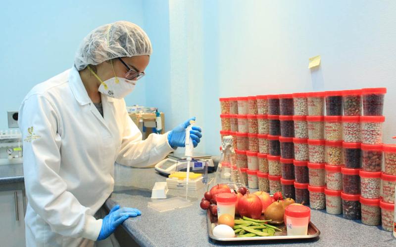 Importancia de la sanidad vegetal