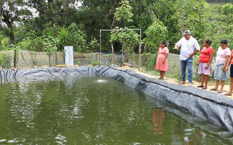 La piscicultura es clave para la seguridad alimentaria y el desarrollo económico