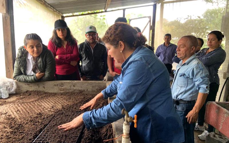 Mejore la producción agrícola con el trasplante de pilones de hortalizas
