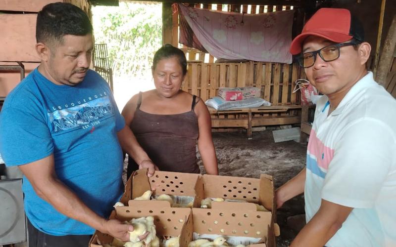 Promueven emprendimientos avícolas en Suchitepéquez