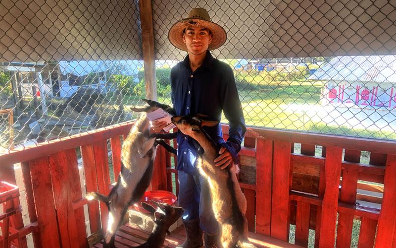 Protección de animales pecuarios durante la temporada de frío