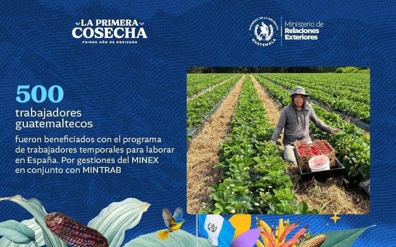 comunicado del Minex