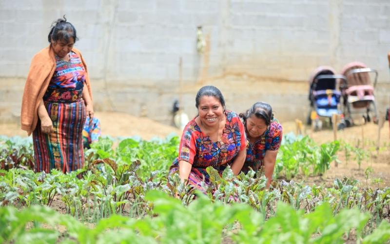 ¿Quiénes pueden ser beneficiarios del Crédito Tob’anik?