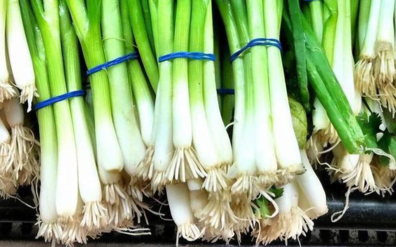 Una planta de la familia de la cebolla, muy apreciada en la cocina 