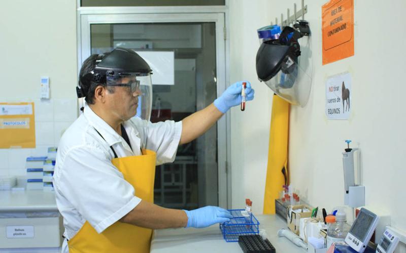 Velando por la sanidad animal